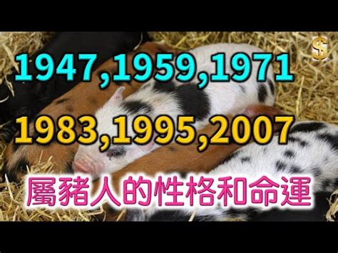 1995年是什麼年|1995年是民國幾年？ 年齢對照表